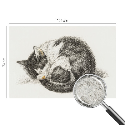 Samolepící fototapeta 3d Rozkošná kočička