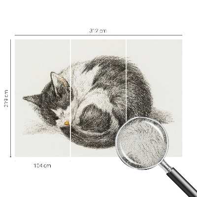 Samolepící fototapeta 3d Rozkošná kočička