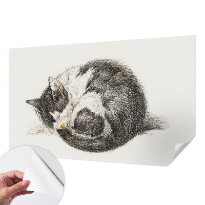 Samolepící fototapeta 3d Rozkošná kočička