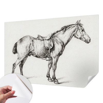 Samolepicí fototapeta Náčrt koně