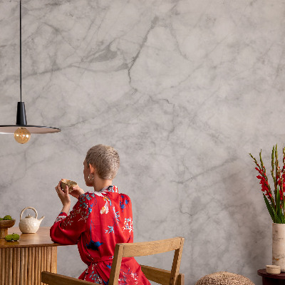 Fototapeta pro holku Mramorová elegance