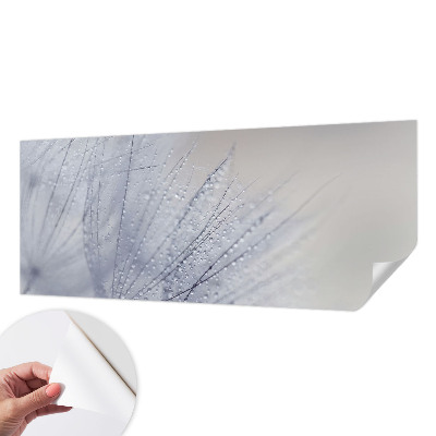 Fototapeta pro kluka Rosná pampeliška