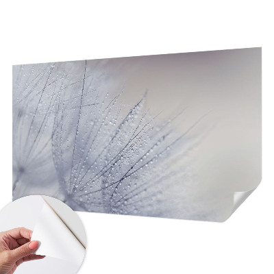 Fototapeta pro kluka Rosná pampeliška