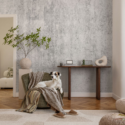 Fotografická tapeta na zeď Betonová zeď