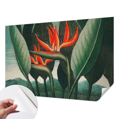 Samolepicí fototapeta Exotické květiny