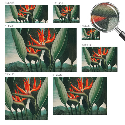 Samolepicí fototapeta Exotické květiny