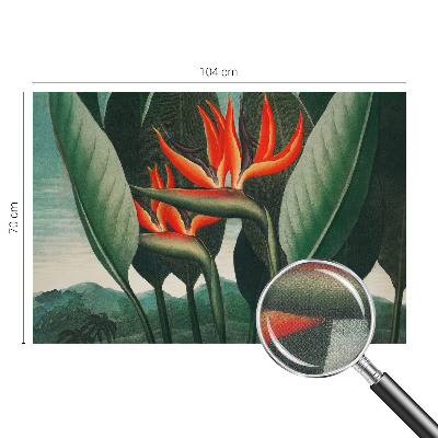 Samolepicí fototapeta Exotické květiny