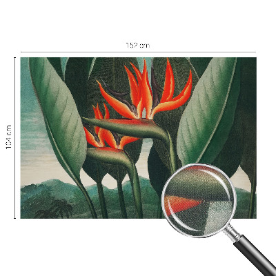 Samolepicí fototapeta Exotické květiny