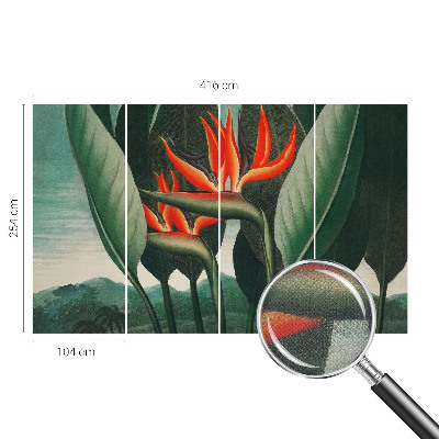 Samolepicí fototapeta Exotické květiny