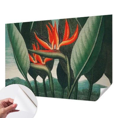 Samolepicí fototapeta Exotické květiny