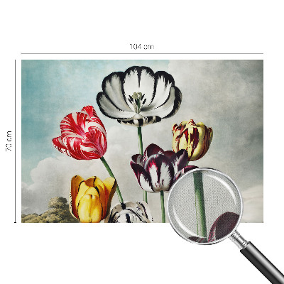 Samolepicí fototapeta na míru Barevné tulipány