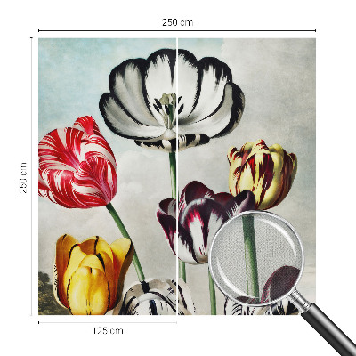 Samolepicí fototapeta na míru Barevné tulipány