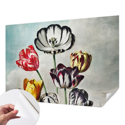 Samolepicí fototapeta na míru Barevné tulipány