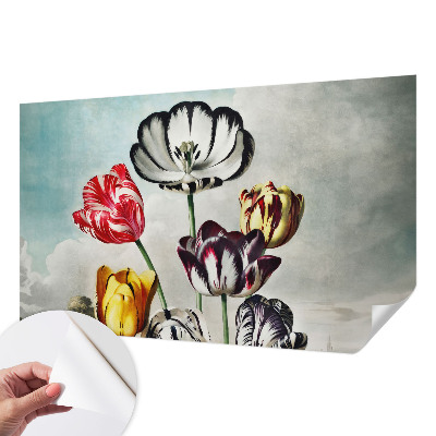 Samolepicí fototapeta na míru Barevné tulipány