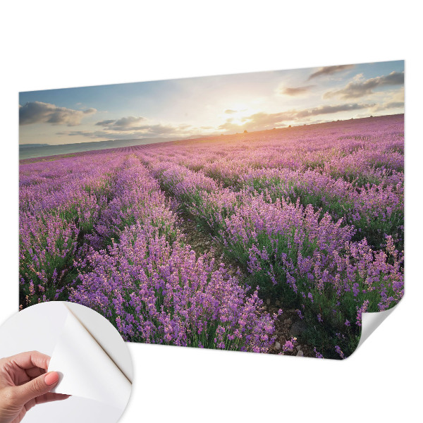 Samolepicí fototapeta na míru Levandulová pole