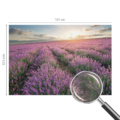 Samolepicí fototapeta na míru Levandulová pole