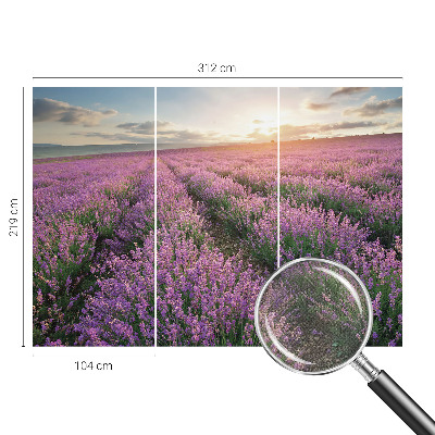 Samolepicí fototapeta na míru Levandulová pole