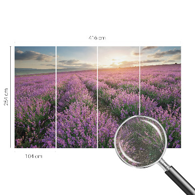 Samolepicí fototapeta na míru Levandulová pole