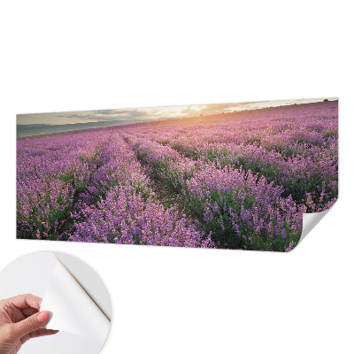 Samolepicí fototapeta na míru Levandulová pole