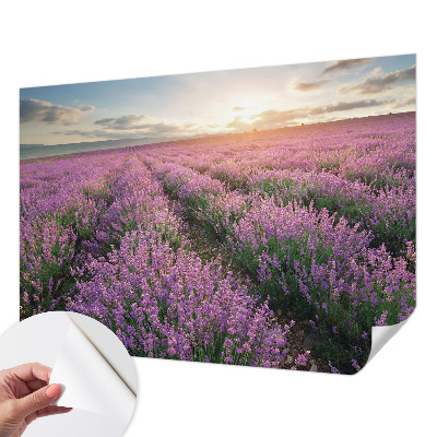 Samolepicí fototapeta na míru Levandulová pole