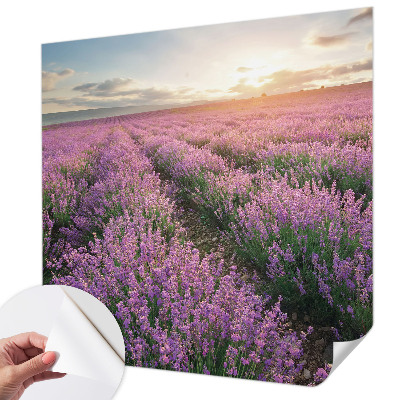 Samolepicí fototapeta na míru Levandulová pole