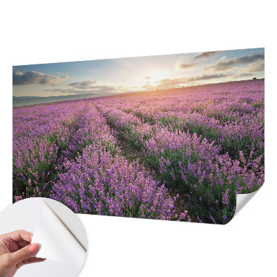Samolepicí fototapeta na míru Levandulová pole