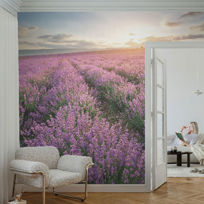 Samolepicí fototapeta na míru Levandulová pole