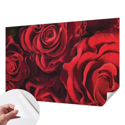 Samolepící fototapeta 3d Červené růže