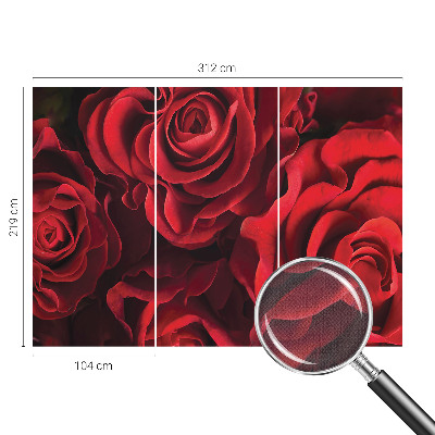 Samolepící fototapeta 3d Červené růže