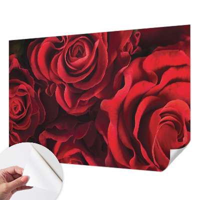 Samolepící fototapeta 3d Červené růže
