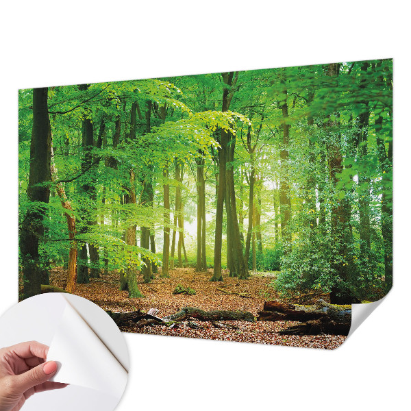 Samolepicí fototapeta Zelený les