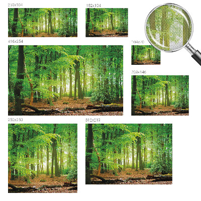 Samolepicí fototapeta Zelený les