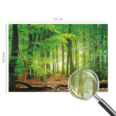 Samolepicí fototapeta Zelený les