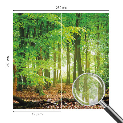 Samolepicí fototapeta Zelený les