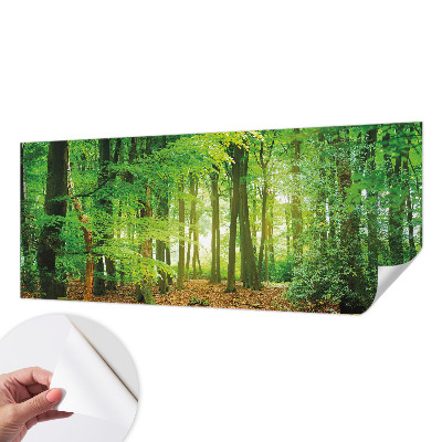Samolepicí fototapeta Zelený les