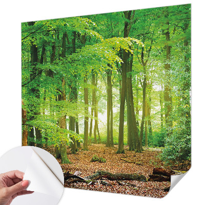 Samolepicí fototapeta Zelený les