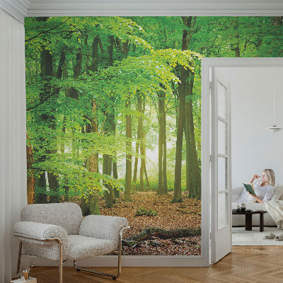 Samolepicí fototapeta Zelený les