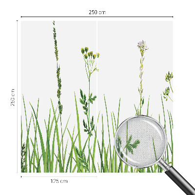 Samolepicí fototapeta na zeď Jemná flóra