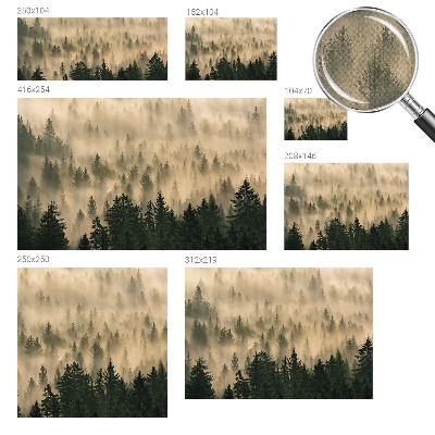 Fotografická tapeta samolepicí Lesní mlha