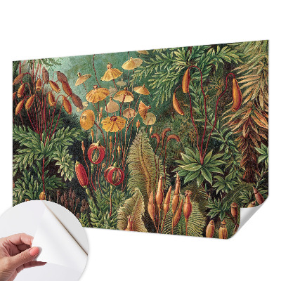 Dětská fototapeta Exotická zahrada