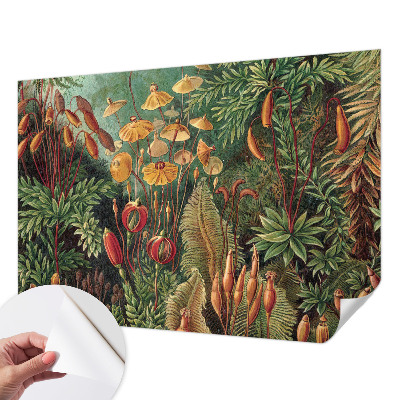 Dětská fototapeta Exotická zahrada