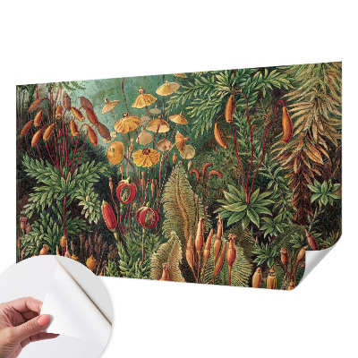 Dětská fototapeta Exotická zahrada