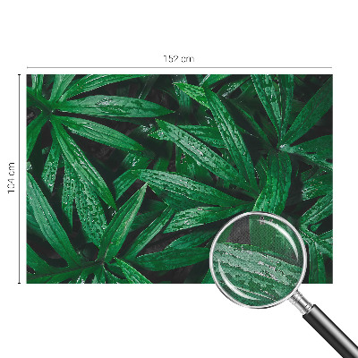 Fotografická tapeta samolepicí Přírodní zeleň