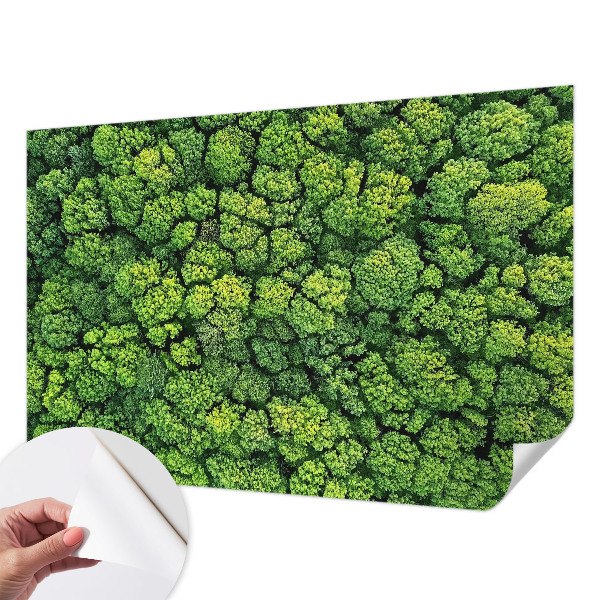 Samolepicí fototapeta do dětského pokoje Lesní panorama