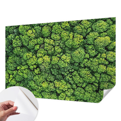 Samolepicí fototapeta do dětského pokoje Lesní panorama