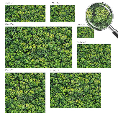 Samolepicí fototapeta do dětského pokoje Lesní panorama