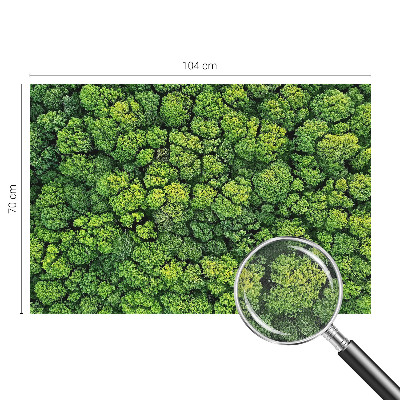 Samolepicí fototapeta do dětského pokoje Lesní panorama