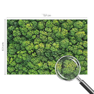 Samolepicí fototapeta do dětského pokoje Lesní panorama