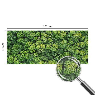 Samolepicí fototapeta do dětského pokoje Lesní panorama