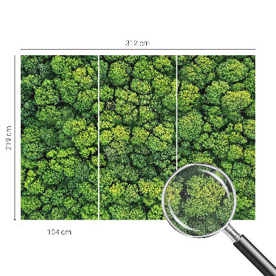 Samolepicí fototapeta do dětského pokoje Lesní panorama